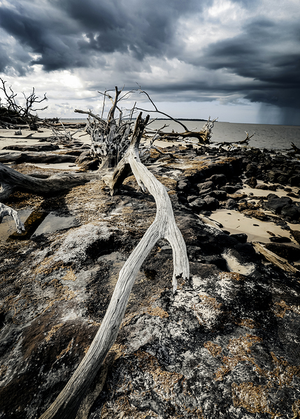 Nature s Drama by Anetta Nadolna