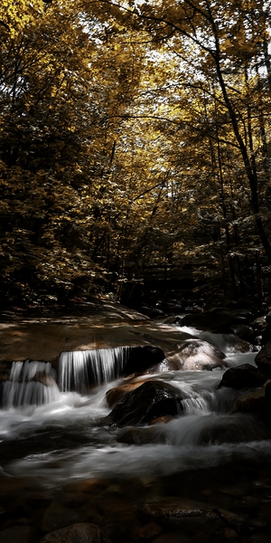 Velvet Falls by Anetta Nadolna