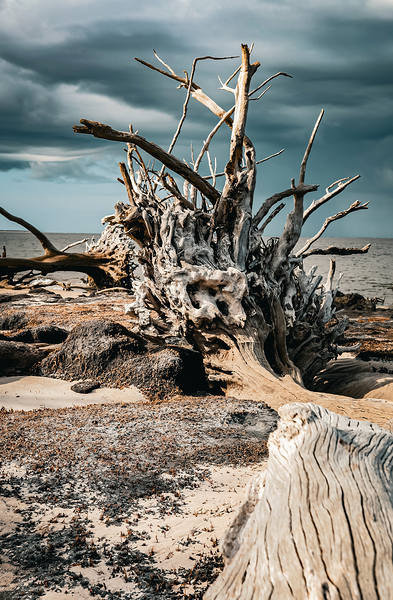 Storms Peaceful Prelude by Anetta Nadolna