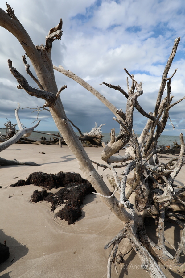 Eternal Embrace  Print