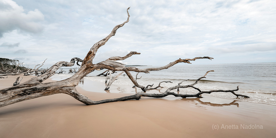 Whispers of Serenity  Print