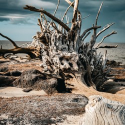 Storms Peaceful Prelude