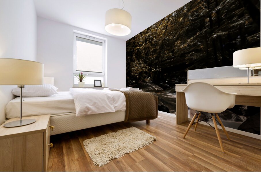 Velvet Falls Mural print