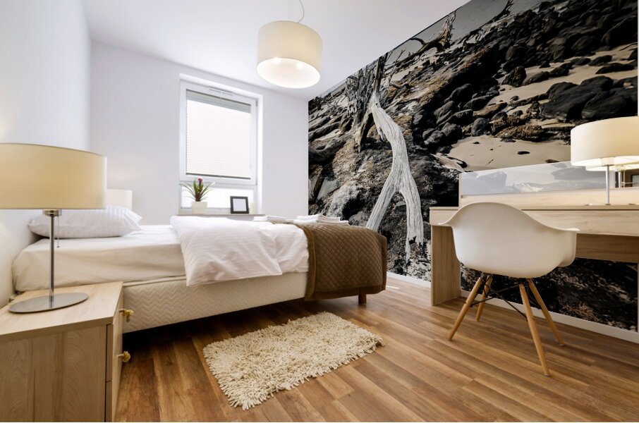 Nature s Drama Mural print