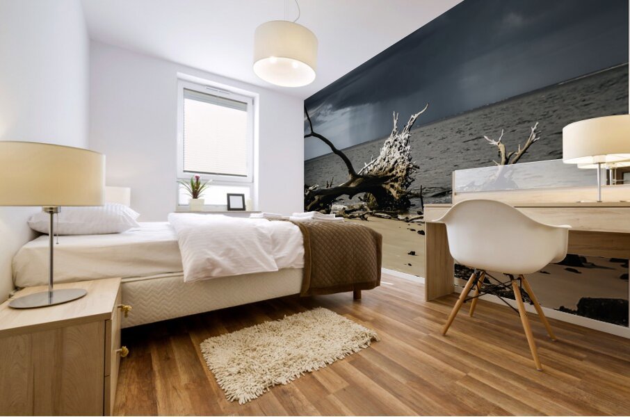 Natures Duality Mural print