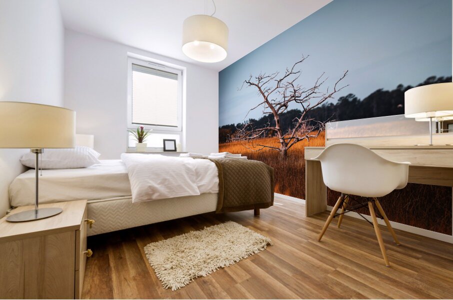 Silent Solitude Mural print