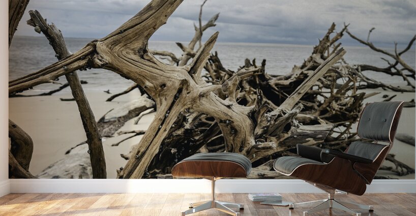 Snail Sanctuary Wall Murals