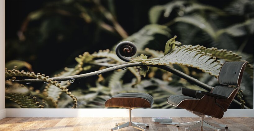 Awakening Fern Wall Murals
