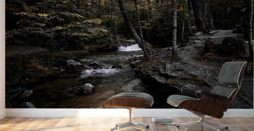 Autumn Cascade Wall Murals