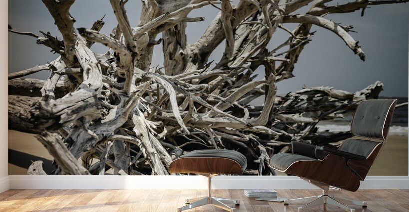 Tangled Drift Wall Murals