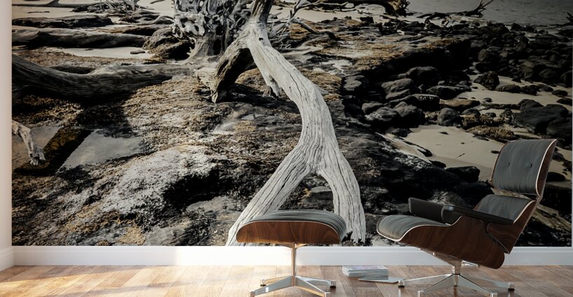 Nature s Drama Wall Murals