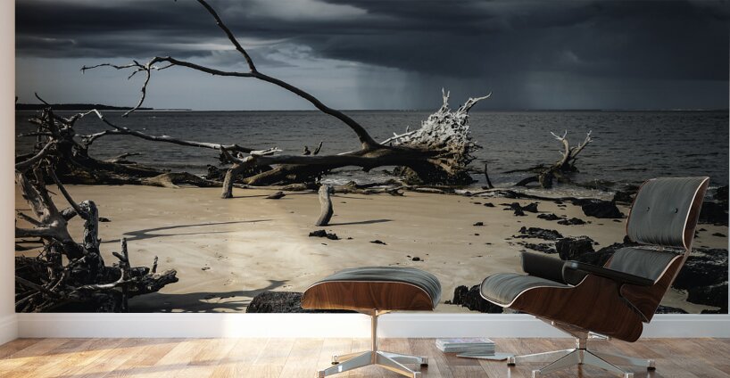Storm s Edge Wall Murals