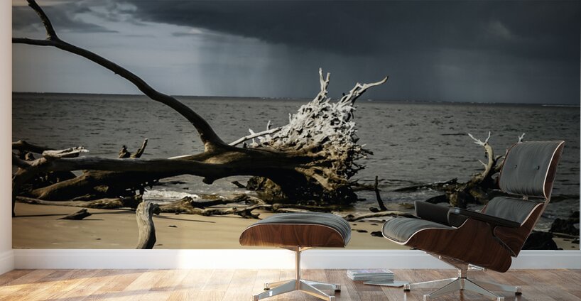 Natures Duality Wall Murals