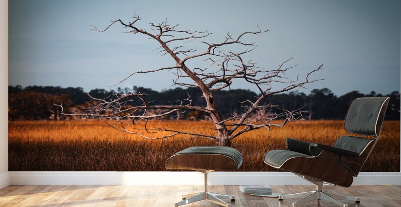 Silent Solitude Wall Murals