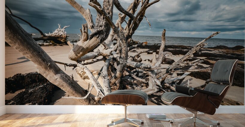 Sunlit Resilience Wall Murals