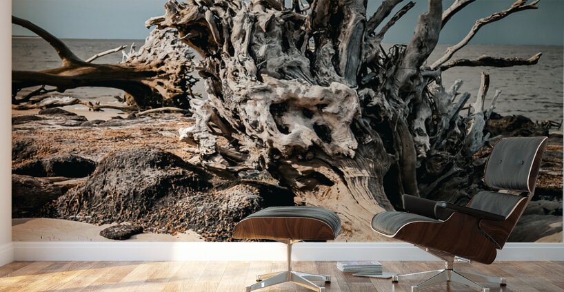 Storms Peaceful Prelude Wall Murals