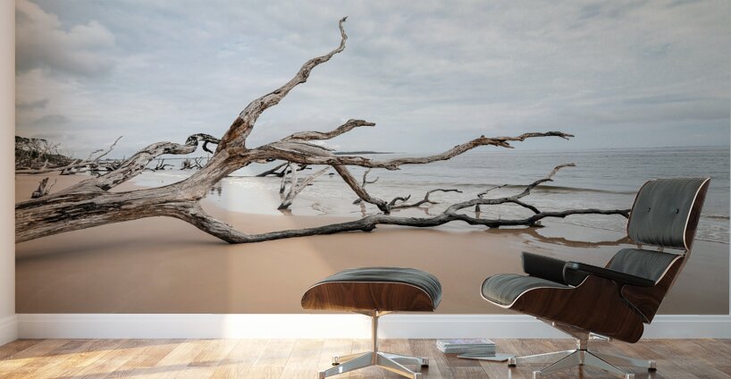 Whispers of Serenity Wall Murals