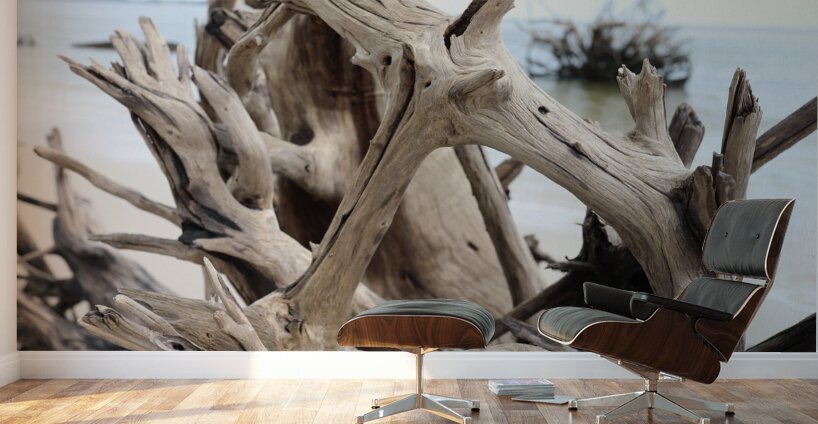 Sturdy Elegance Wall Murals