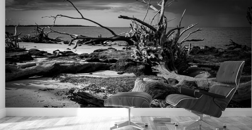 Tempest Trace Wall Murals