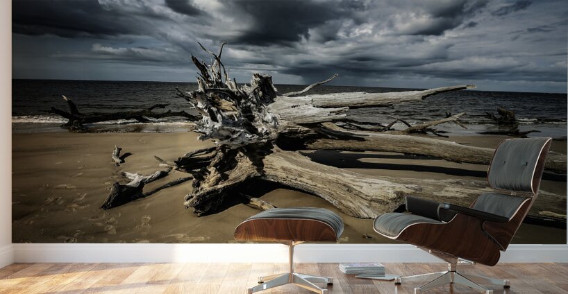 Legacy of The Tides Wall Murals