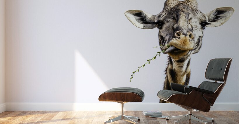 Sky High Banquet Wall Murals