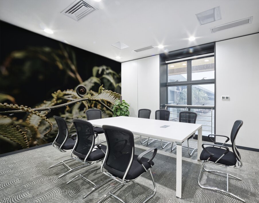 Awakening Fern Wall Printing