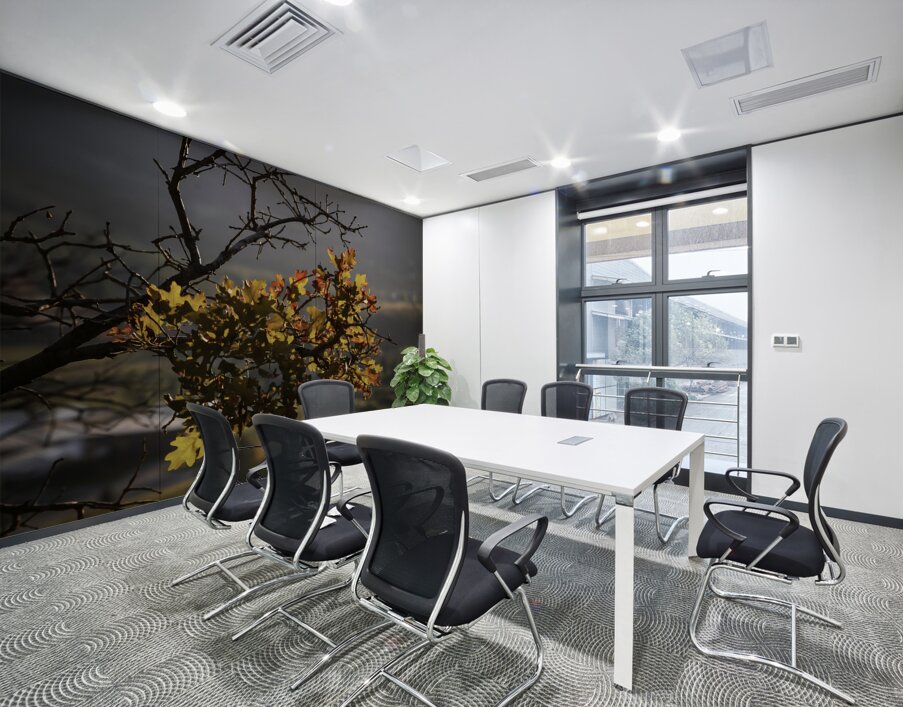 Alpine Radiance Wall Printing