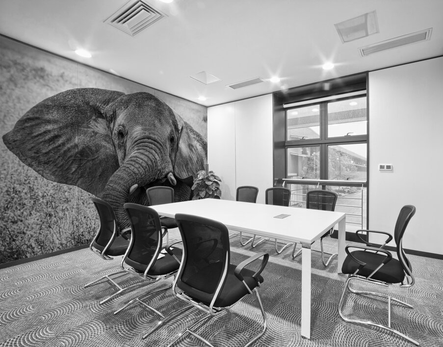 Monochrome Majesty Wall Printing