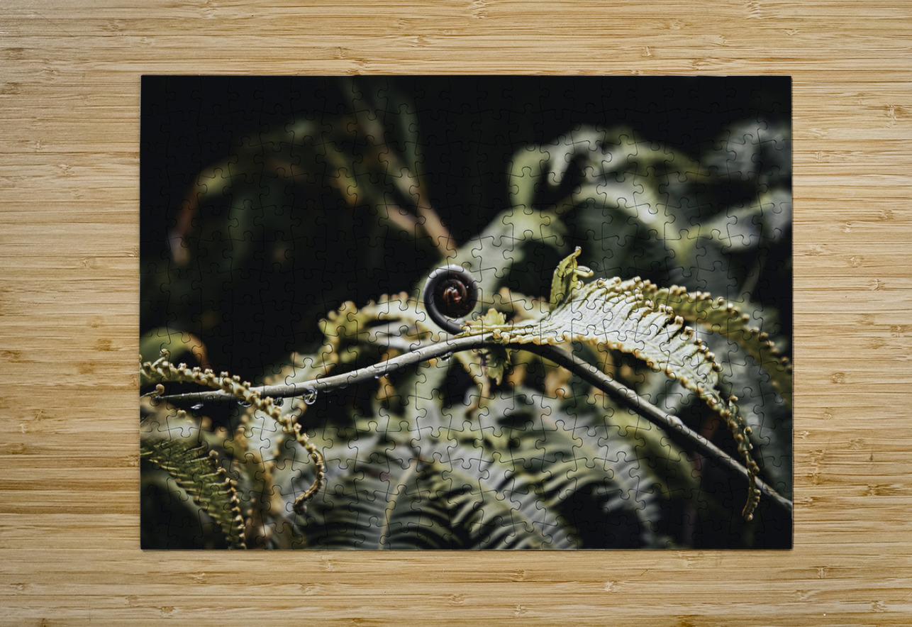 Awakening Fern Anetta Nadolna Puzzle printing