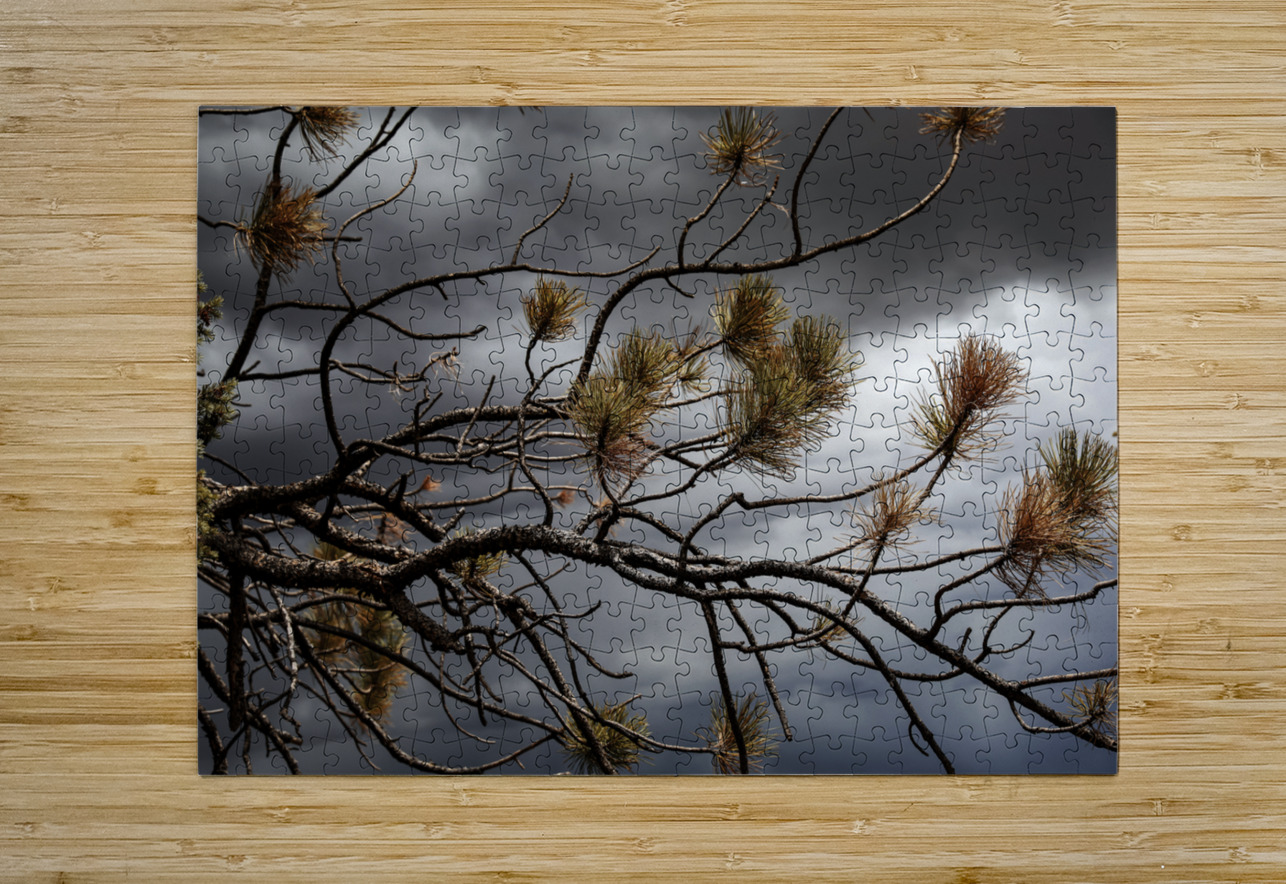 Crimson Storm Anetta Nadolna Puzzle printing