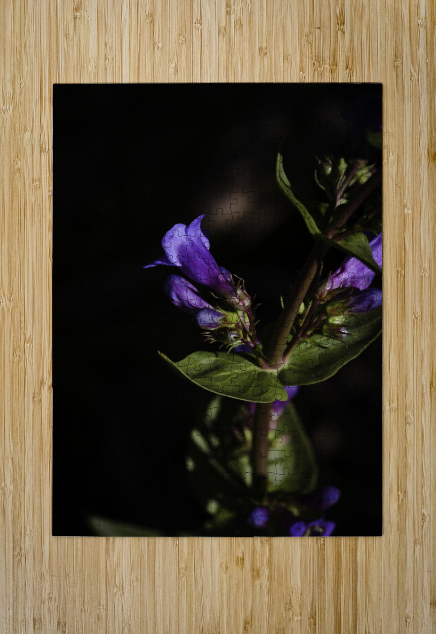 Elegance in Violet Anetta Nadolna Puzzle printing