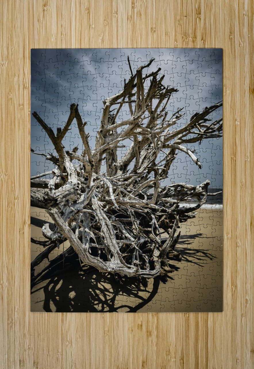 Tangled Drift Anetta Nadolna Puzzle printing