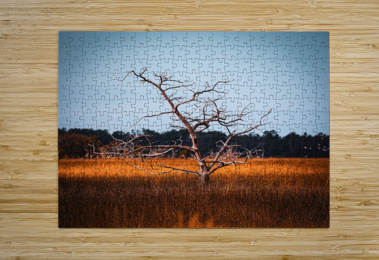 Silent Solitude Anetta Nadolna Puzzle printing