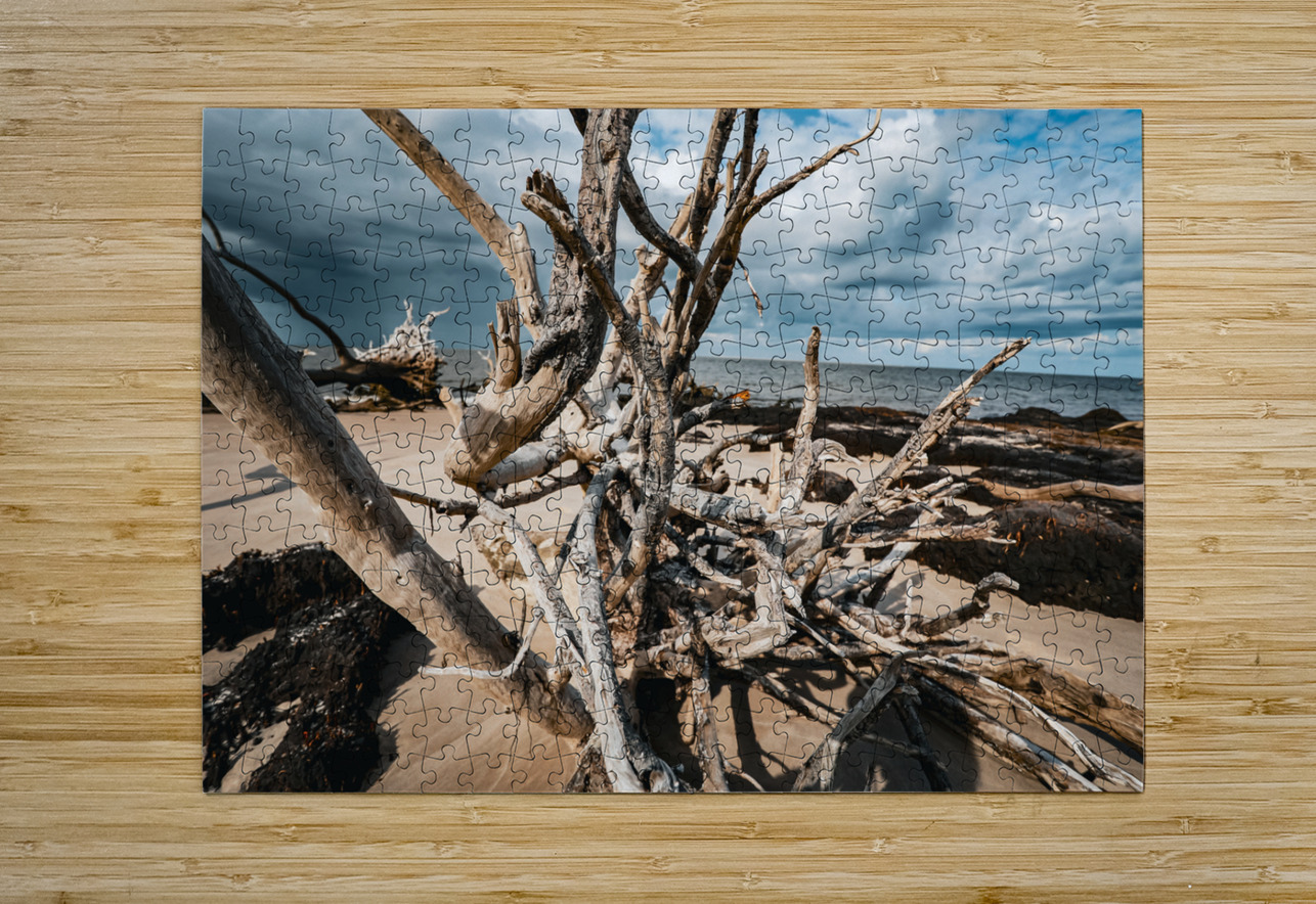 Sunlit Resilience Anetta Nadolna Puzzle printing