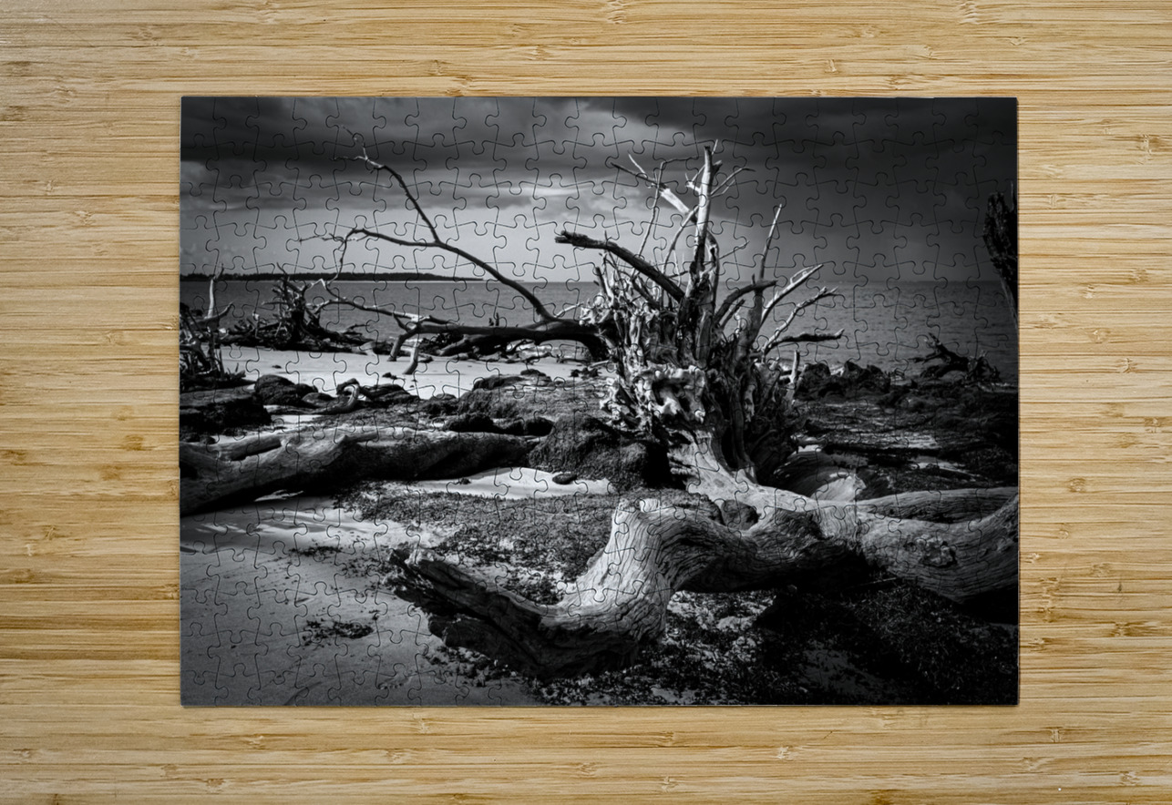 Tempest Trace Anetta Nadolna Puzzle printing