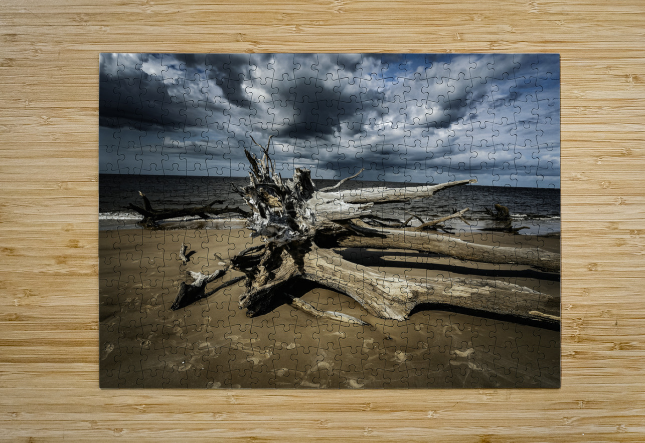 Legacy of The Tides Anetta Nadolna Puzzle printing