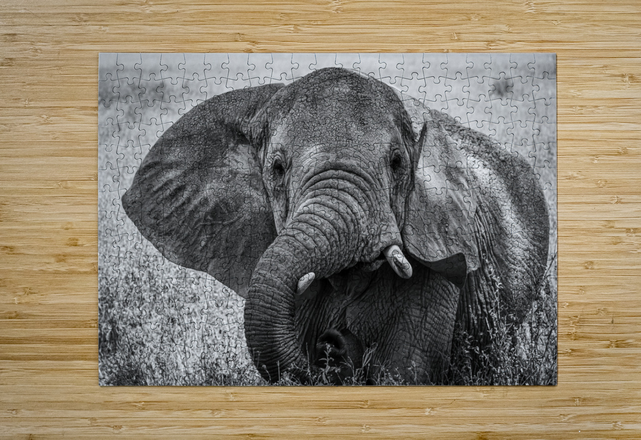 Monochrome Majesty Anetta Nadolna Puzzle printing