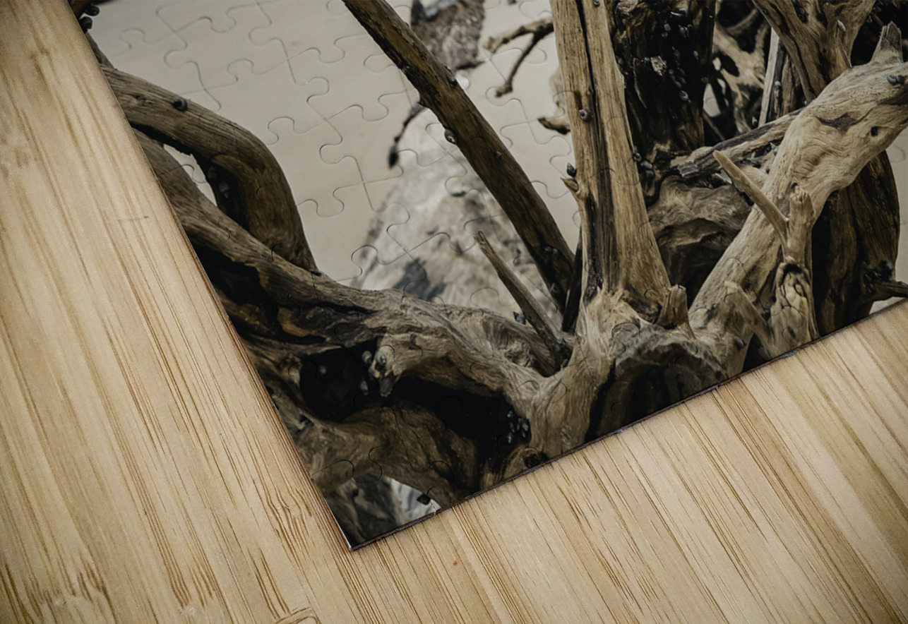 Snail Sanctuary Anetta Nadolna Puzzle