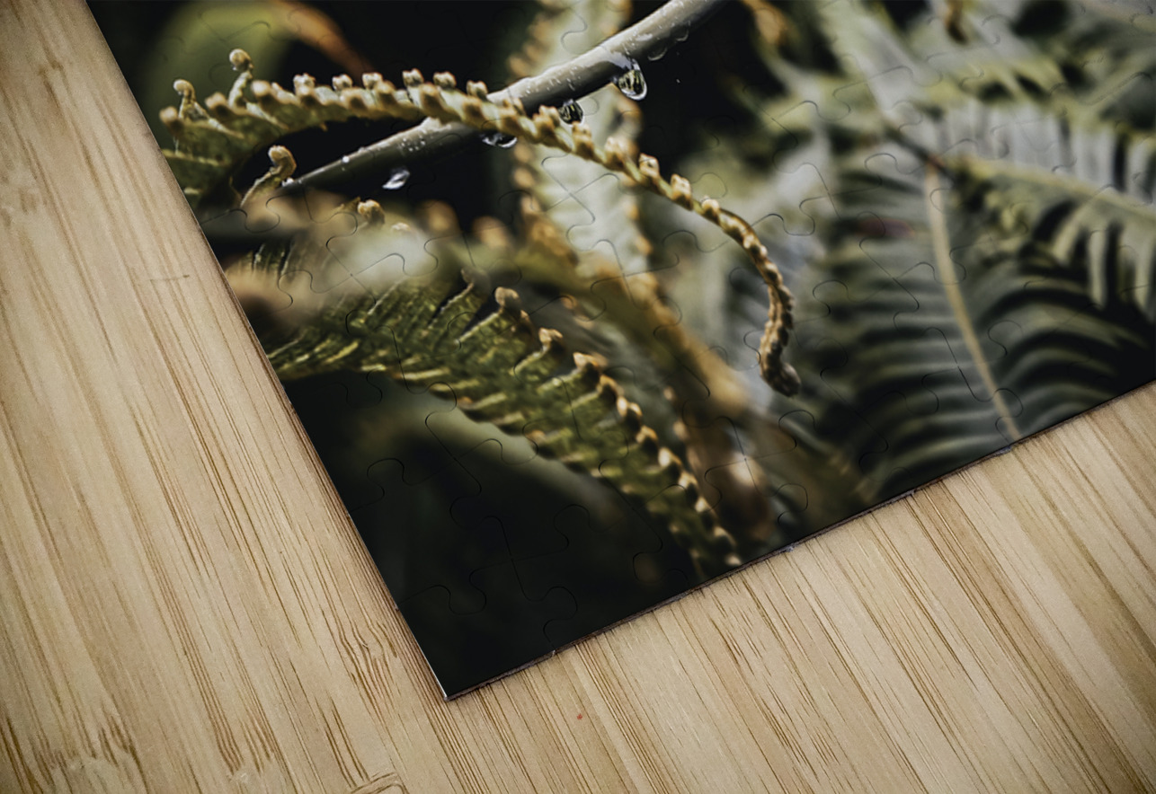 Awakening Fern Anetta Nadolna Puzzle