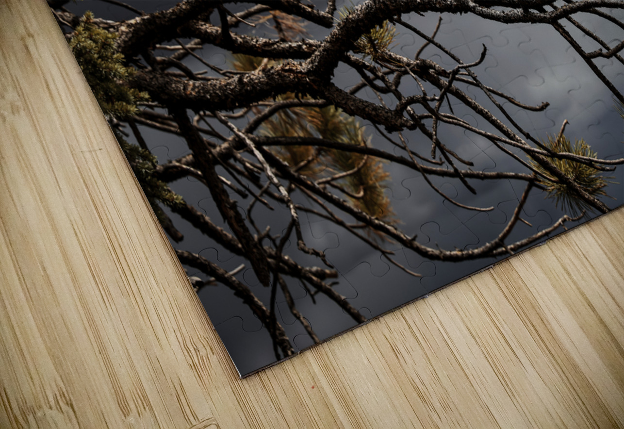 Crimson Storm Anetta Nadolna Puzzle