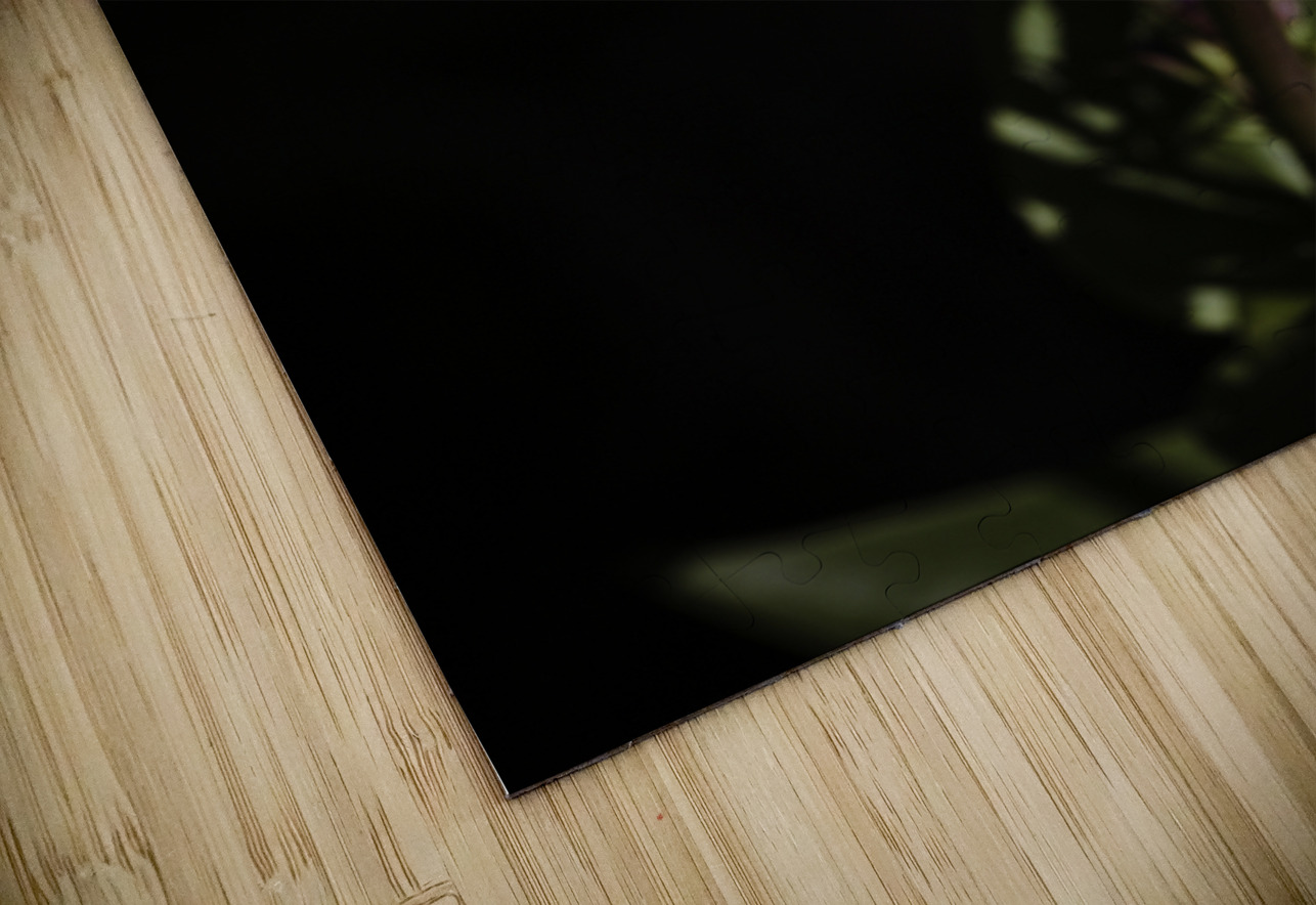 Elegance in Violet Anetta Nadolna Puzzle