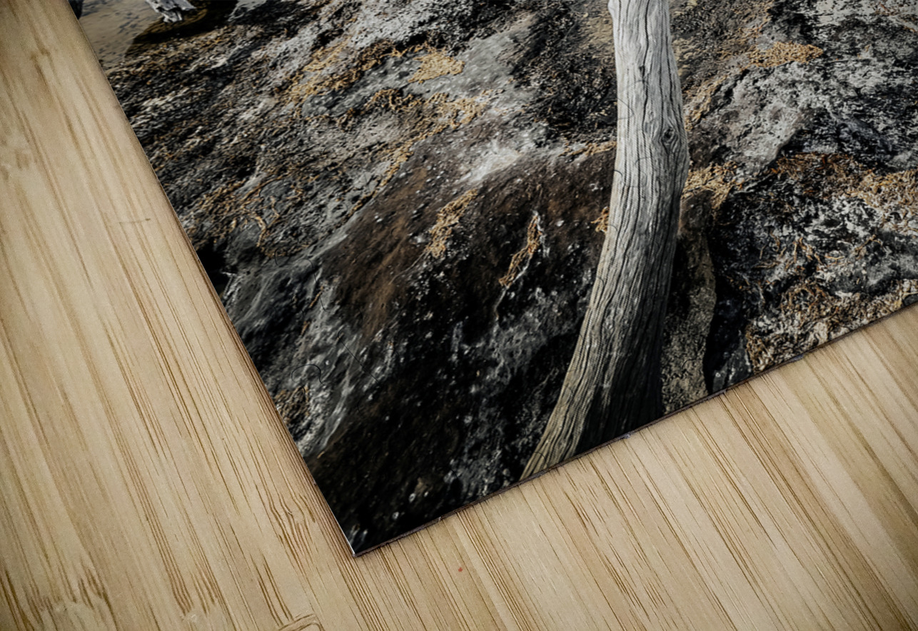 Nature s Drama Anetta Nadolna Puzzle