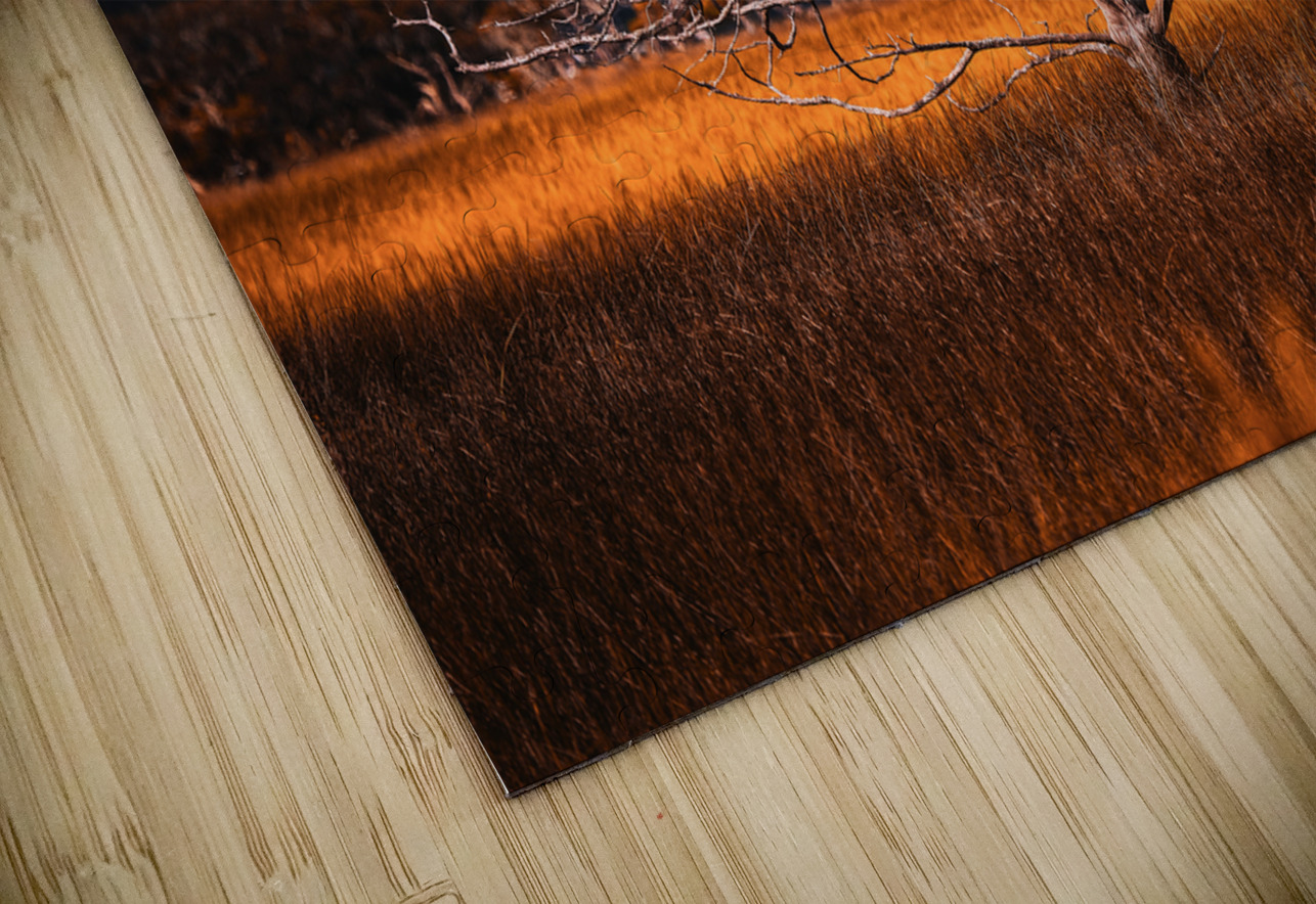 Silent Solitude Anetta Nadolna Puzzle