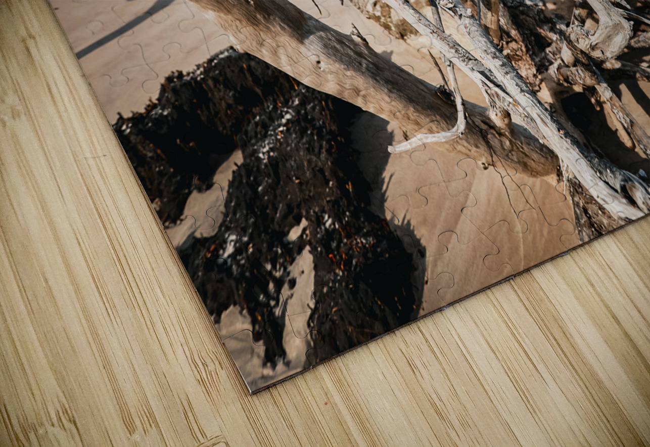 Sunlit Resilience Anetta Nadolna Puzzle