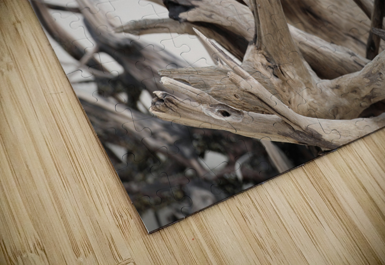 Sturdy Elegance Anetta Nadolna Puzzle