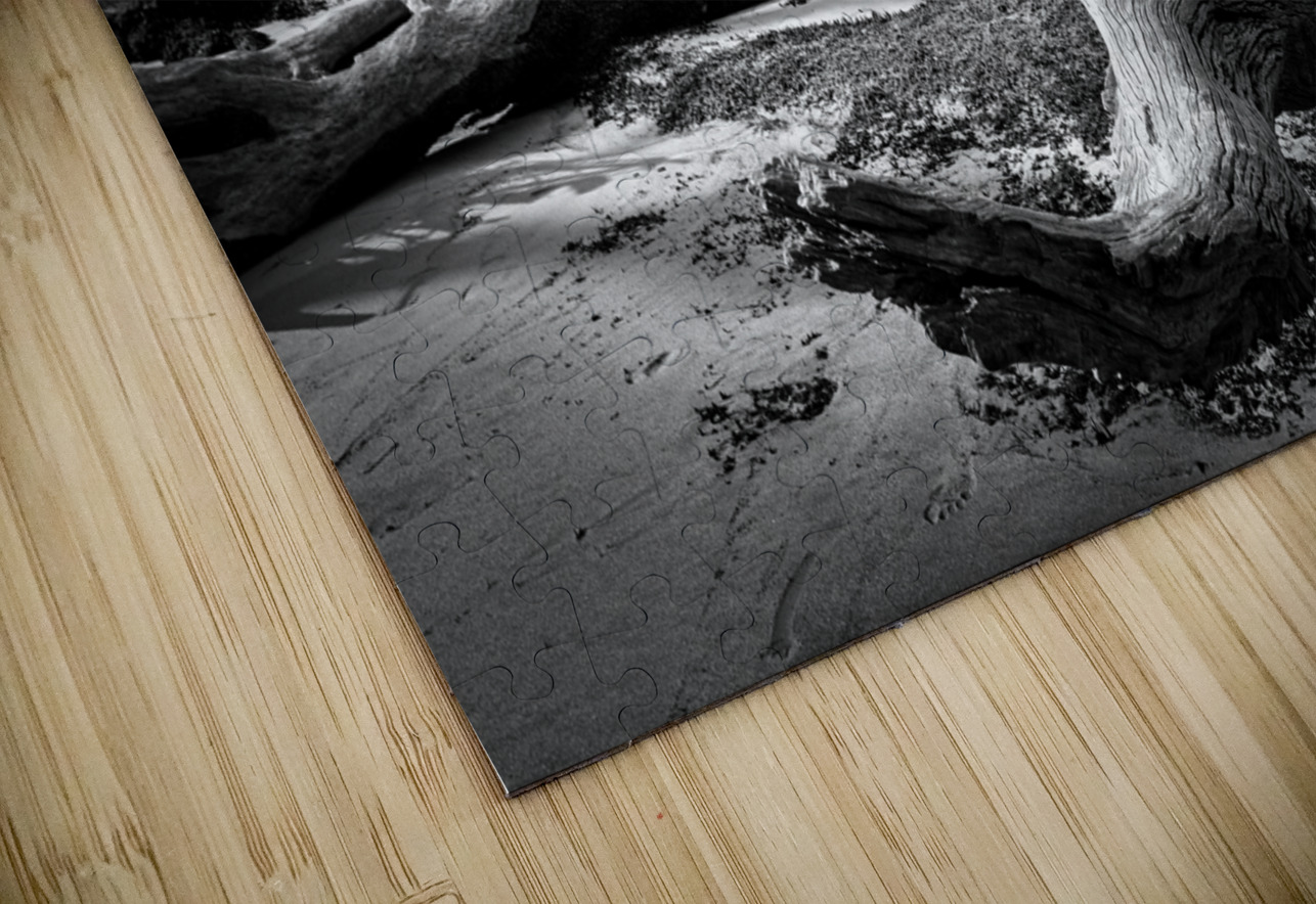 Tempest Trace Anetta Nadolna Puzzle