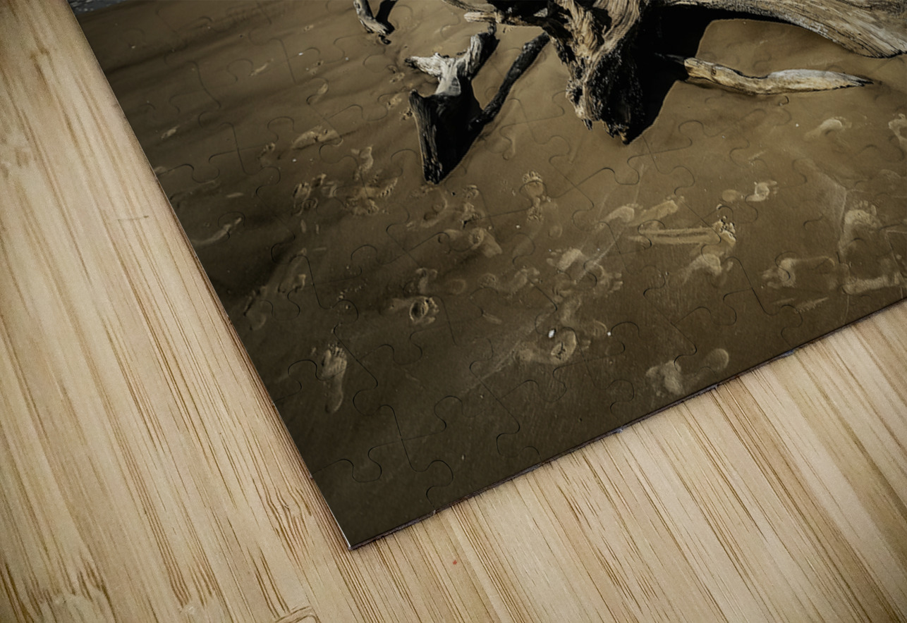 Legacy of The Tides Anetta Nadolna Puzzle