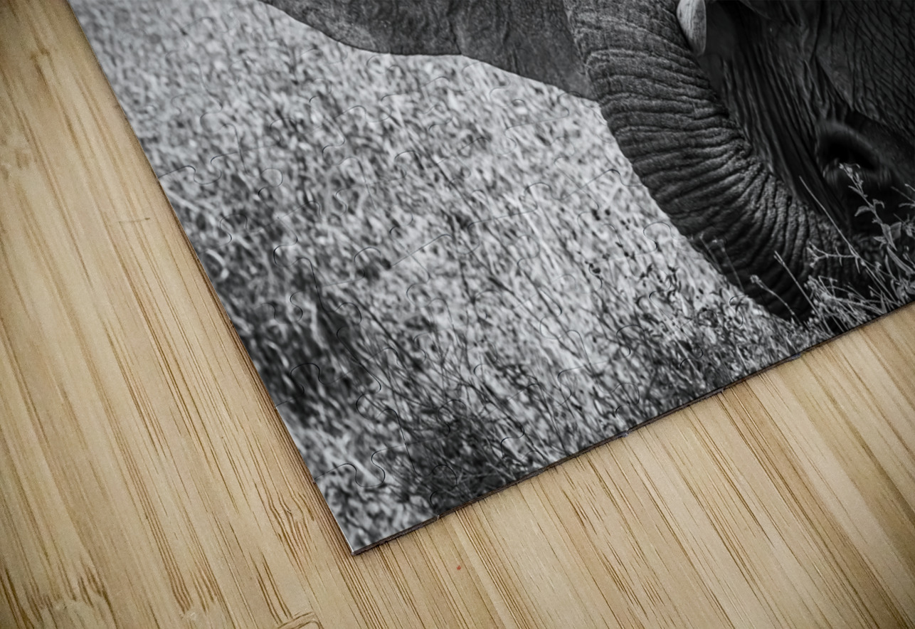 Monochrome Majesty Anetta Nadolna Puzzle