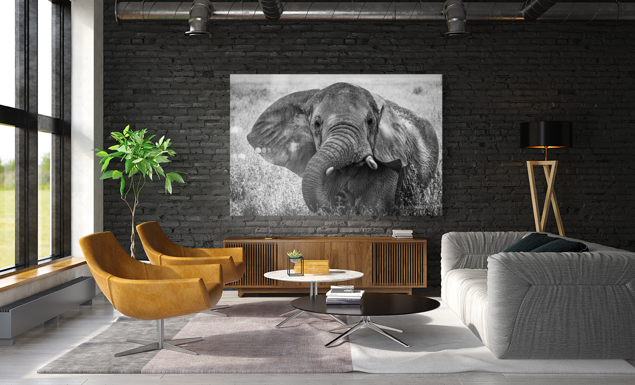 Monochrome Majesty Art